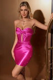 Elegante Fuchsia Bodycon Querida Cetim Corset Short Homecoming Dress