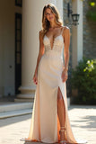 Vestido de Baile Longo Alças Finas Apliques Rosa empoeirado