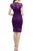 Carregar imagem no visualizador da galeria, Blush Lace Bodycon Party Dress