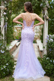 Sereia Roxo Vestido de Baile Com Apliques