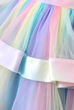 Arco-Íris Tule Layered Vestido de Festa da Menina