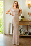 Glitter Sereia Mangas Longas Damasco Vestido Formal