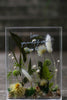 Carregar imagem no visualizador da galeria, Quadro de foto de flor imortal acrílico
