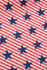 Carregar imagem no visualizador da galeria, Estrelas de bandeira americana imprimir vestido vintage
