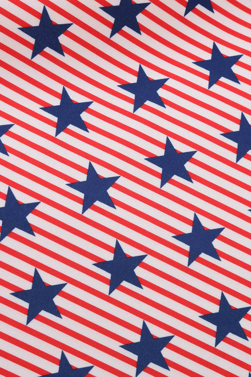 Carregar imagem no visualizador da galeria, Estrelas de bandeira americana imprimir vestido vintage