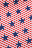 Estrelas de bandeira americana imprimir vestido vintage