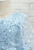 Carregar imagem no visualizador da galeria, Vestido de menina de flor de lantejoula azul claro com mangas